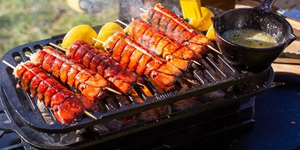 Asador de Carne Eléctrico: Guía Definitiva para Elegir el Ideal según tu Espacio